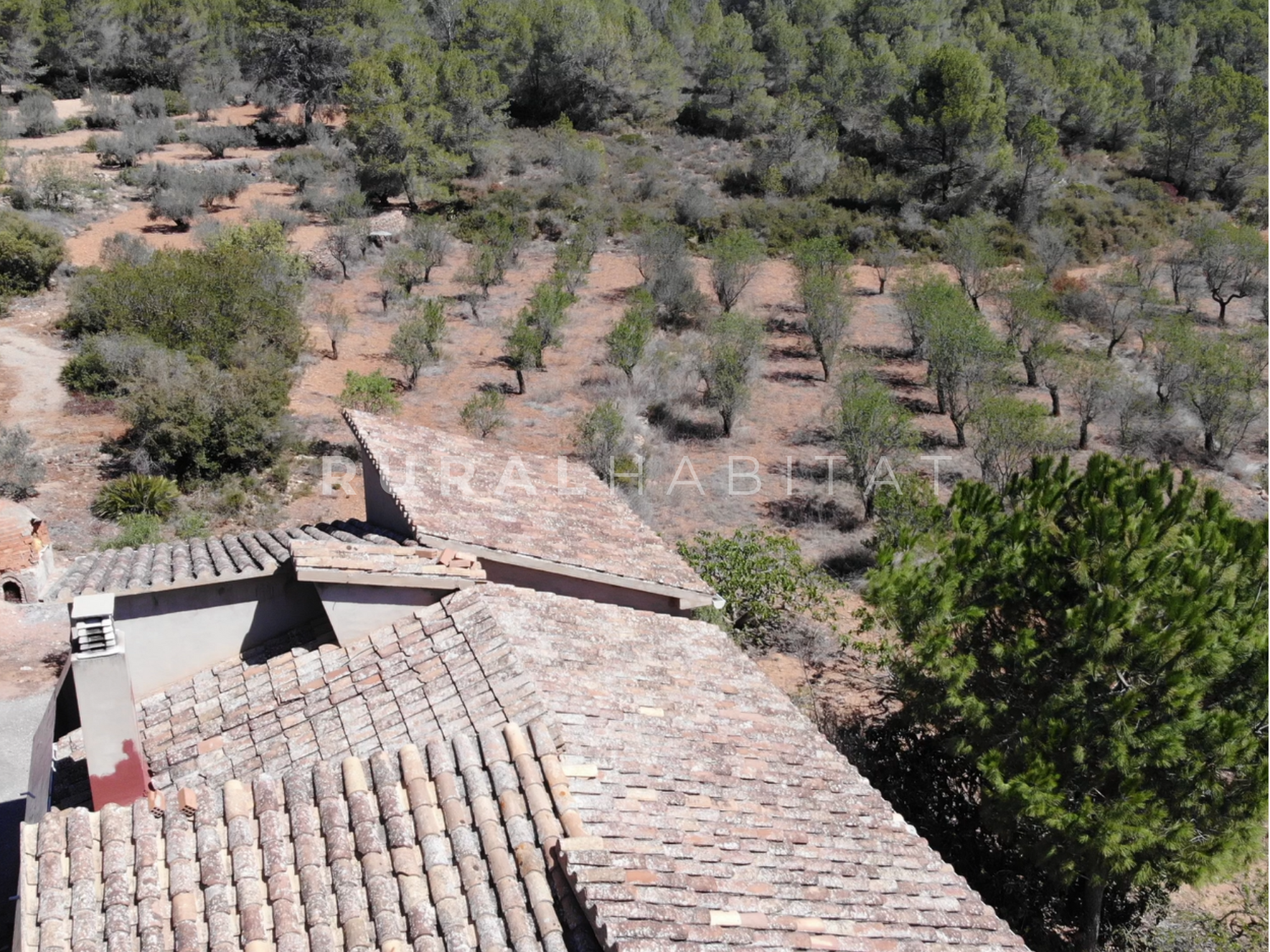 3 Country House for Sale in Alfara de Algimia, Valencia