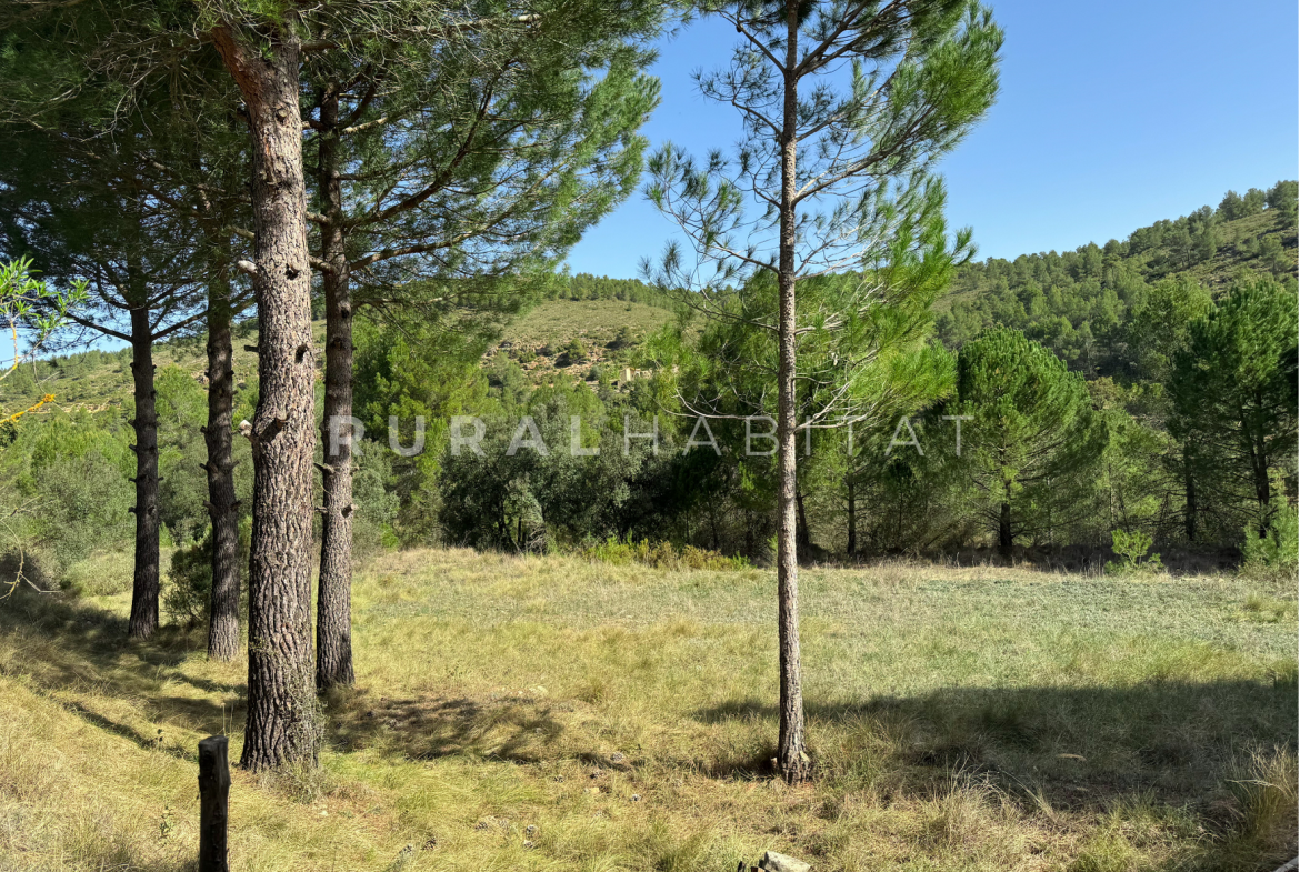 Finca Rústica en Mogente, Valencia