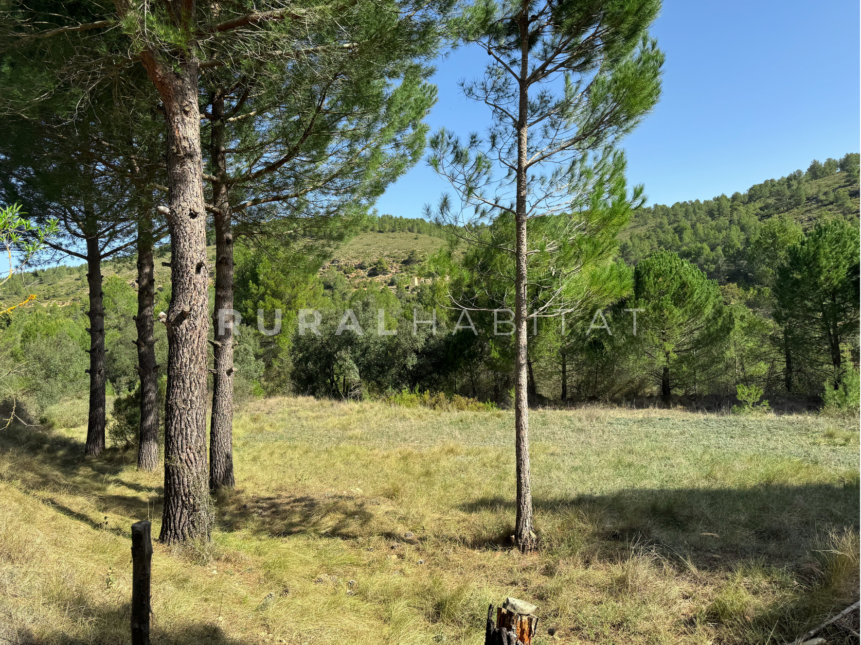 30 Finca Rústica en Mogente, Valencia