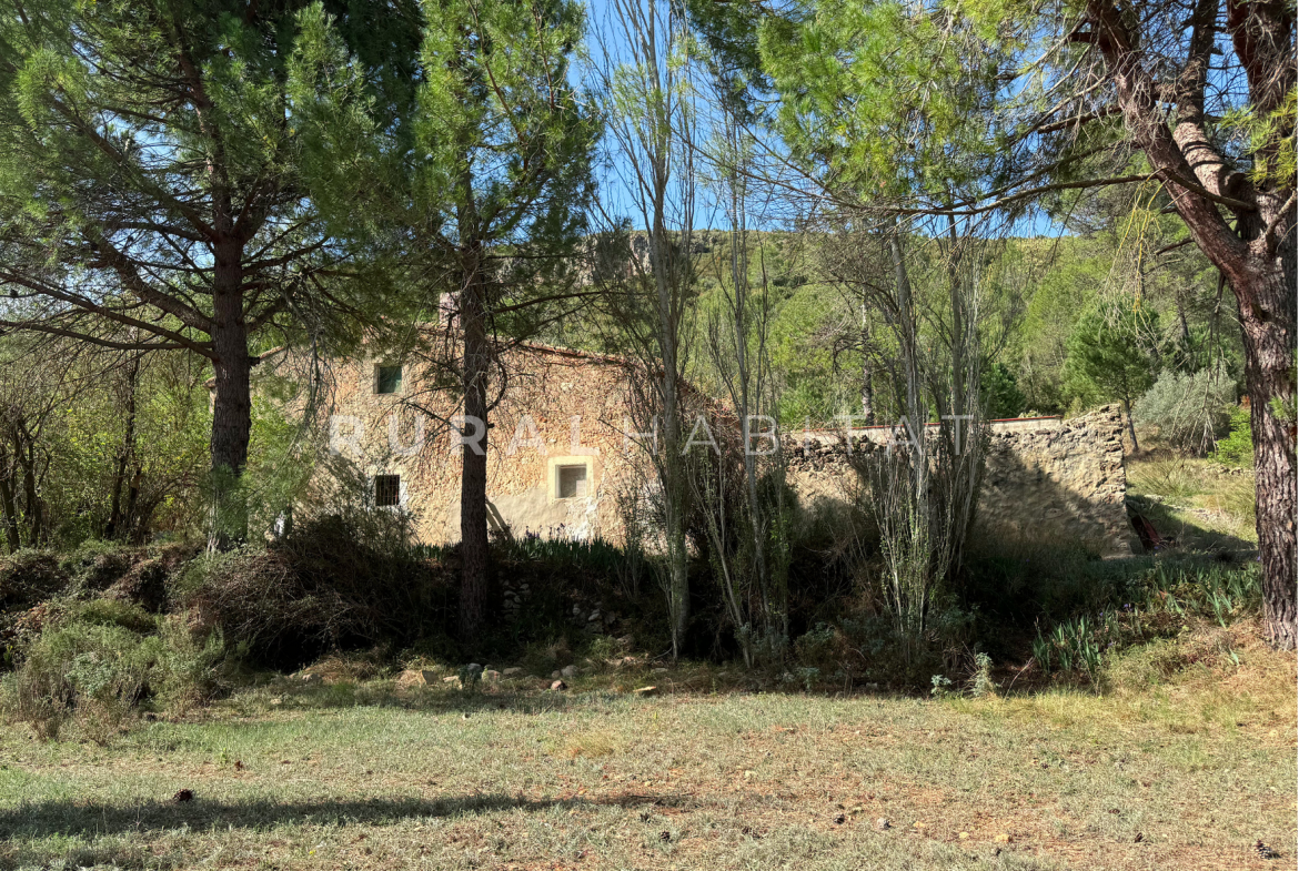 Finca Rústica en Mogente, Valencia