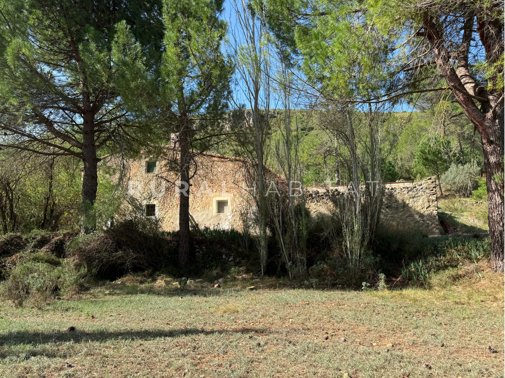 4 Finca Rústica en Mogente, Valencia
