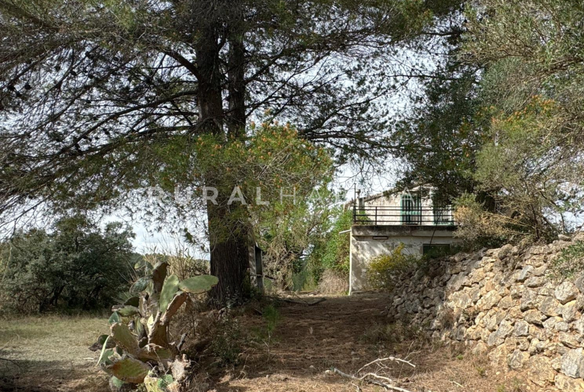Finca en Venta Valencia Manantiales - Casa 4