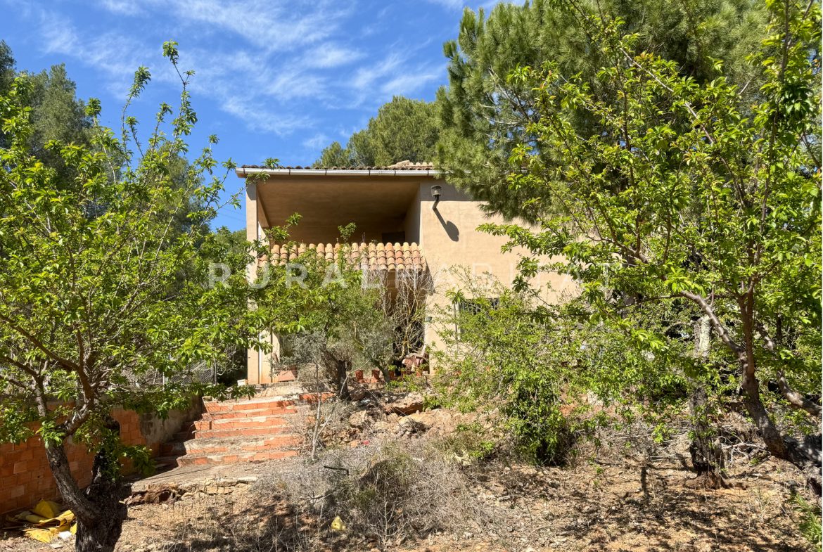 Country House for Sale in Alfara de Algimia, Valencia