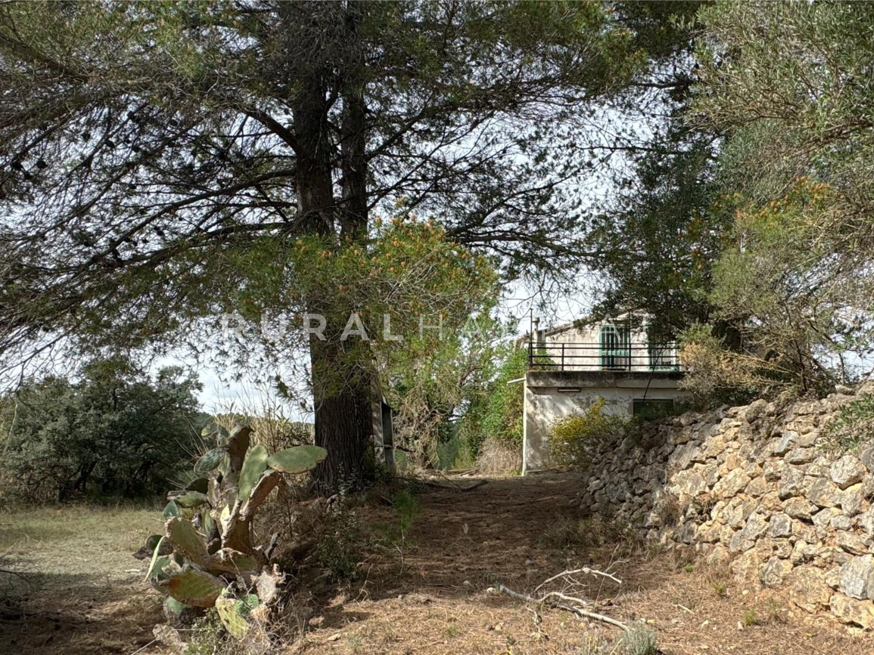 4 Finca en Venta Valencia Manantiales - Casa 4