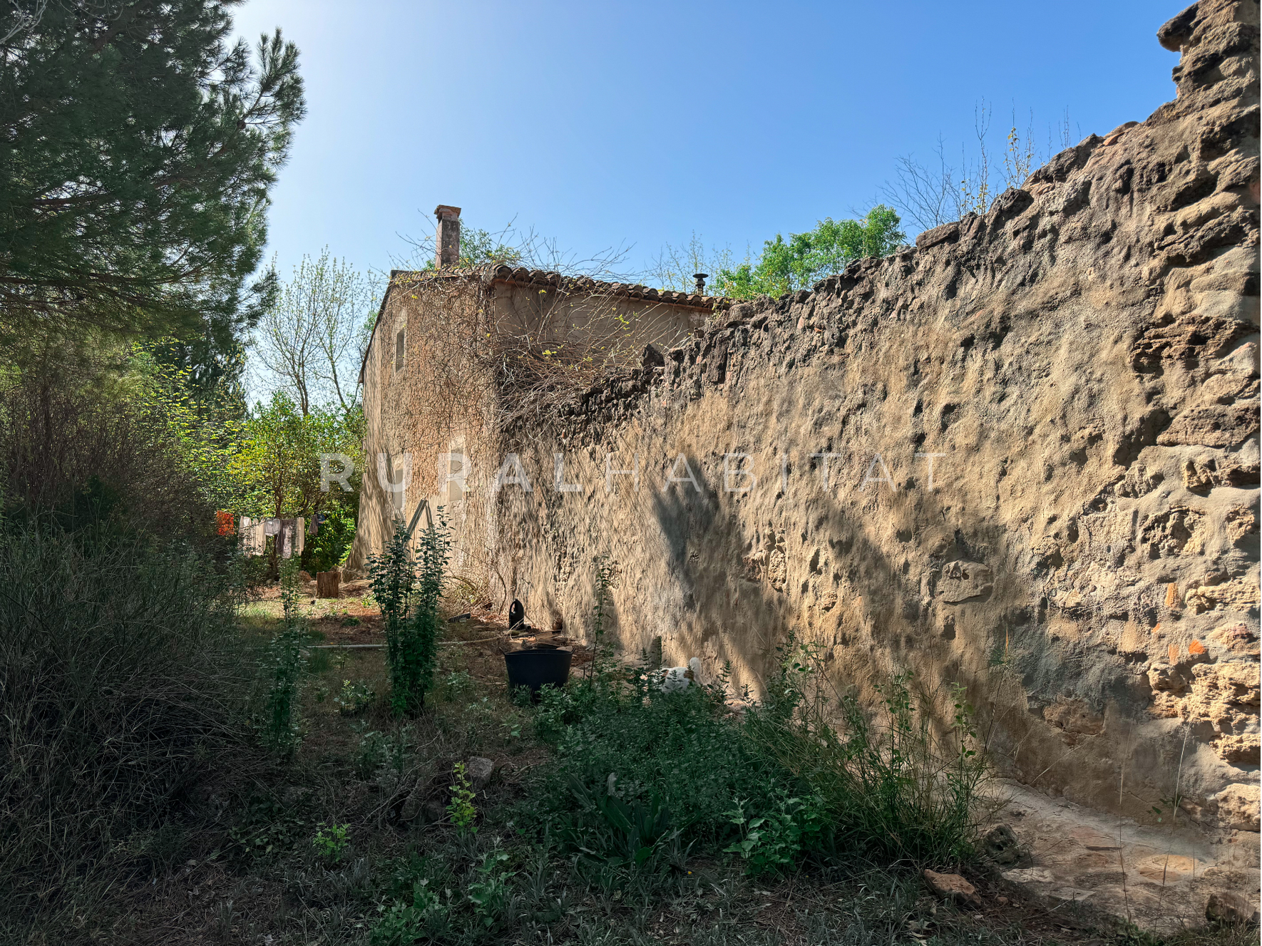 5 Finca Rústica en Mogente, Valencia