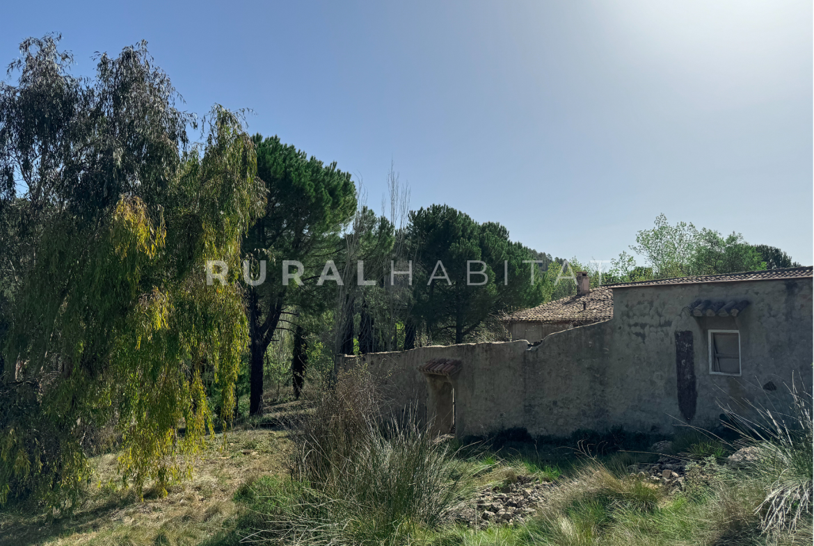 Finca Rústica en Mogente, Valencia