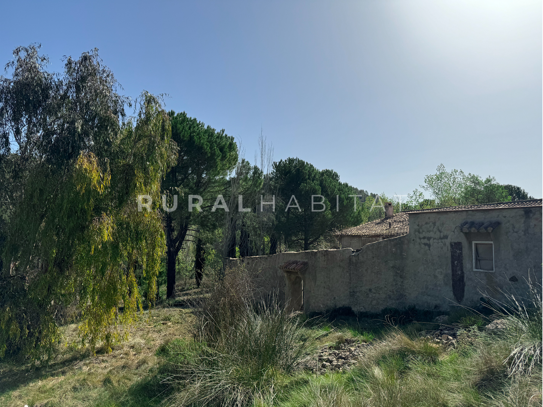 6 Finca Rústica en Mogente, Valencia
