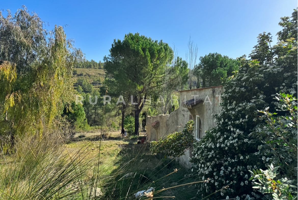 Finca Rústica en Mogente, Valencia