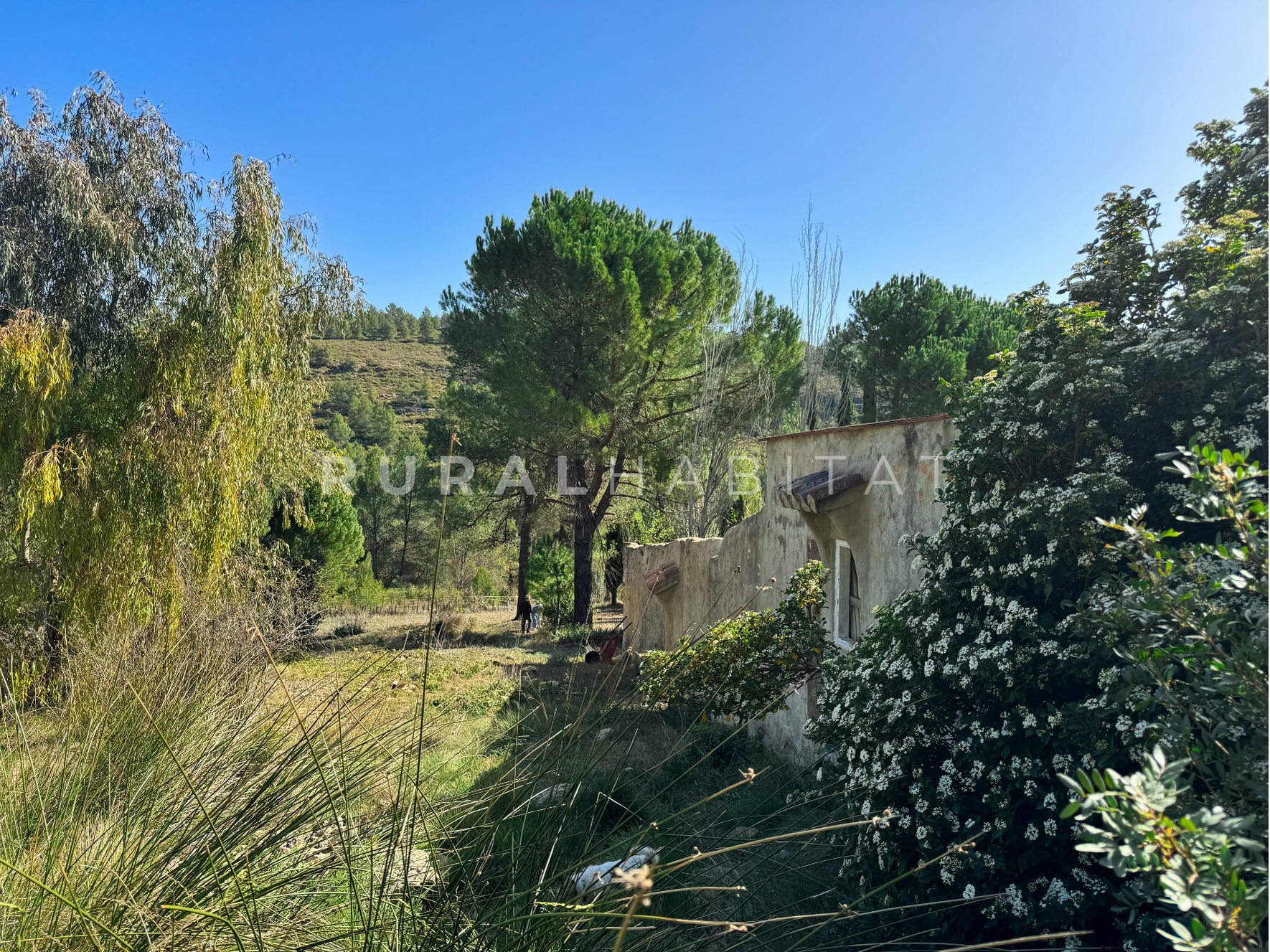 7 Finca Rústica en Mogente, Valencia