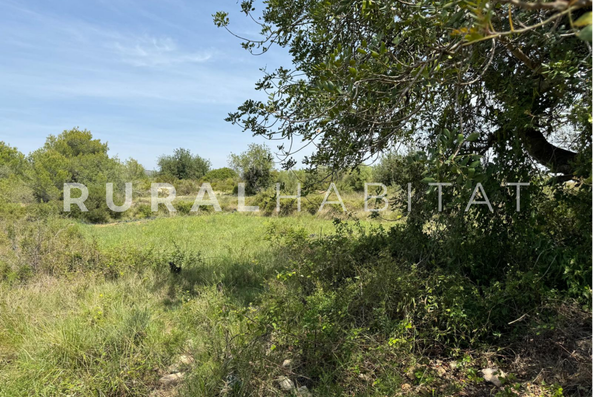 Finca Ecuestre en Venta en Alcocebre
