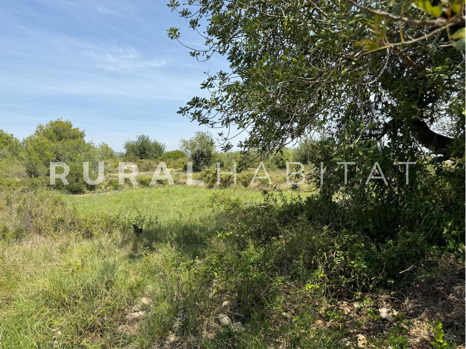 1 Finca Ecuestre en Venta en Alcocebre