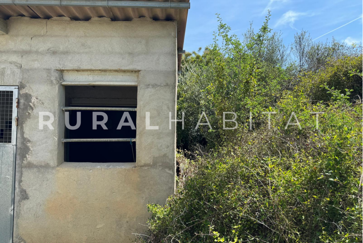 Finca Ecuestre en Venta en Alcocebre