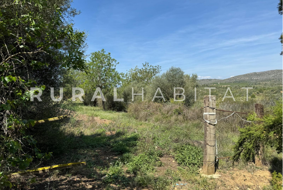 Finca Ecuestre en Venta en Alcocebre