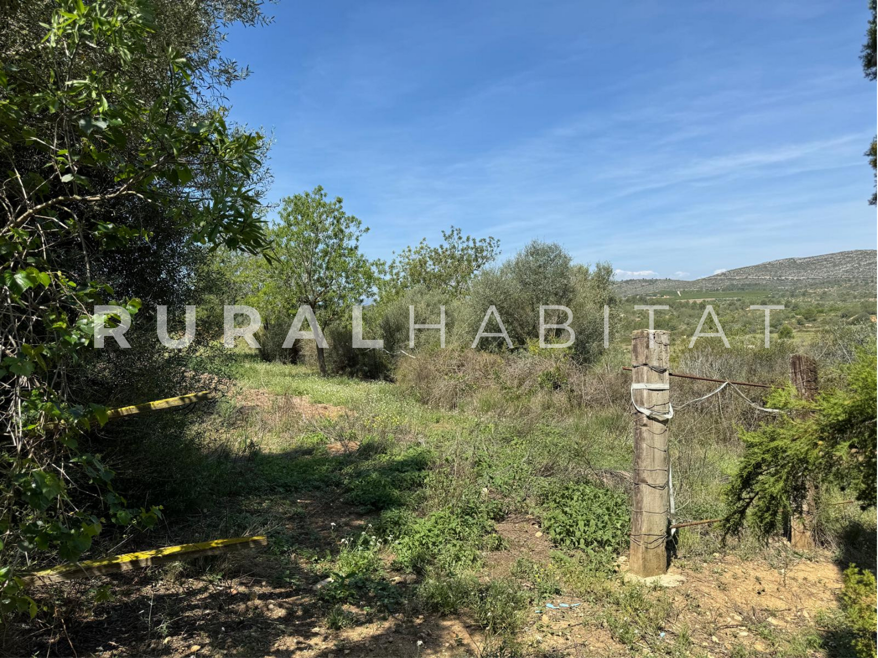 13 Finca Ecuestre en Venta en Alcocebre