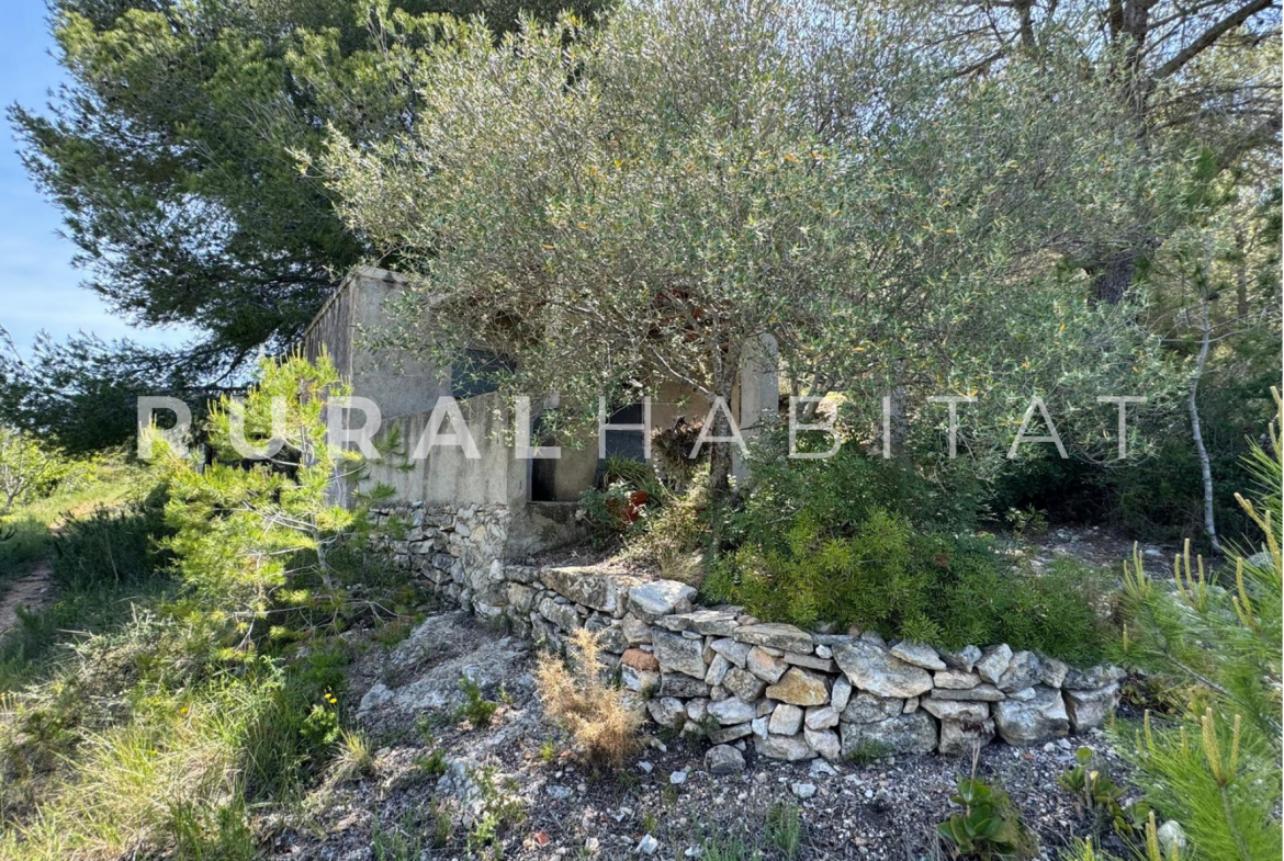 Finca Ecuestre en Venta en Alcocebre