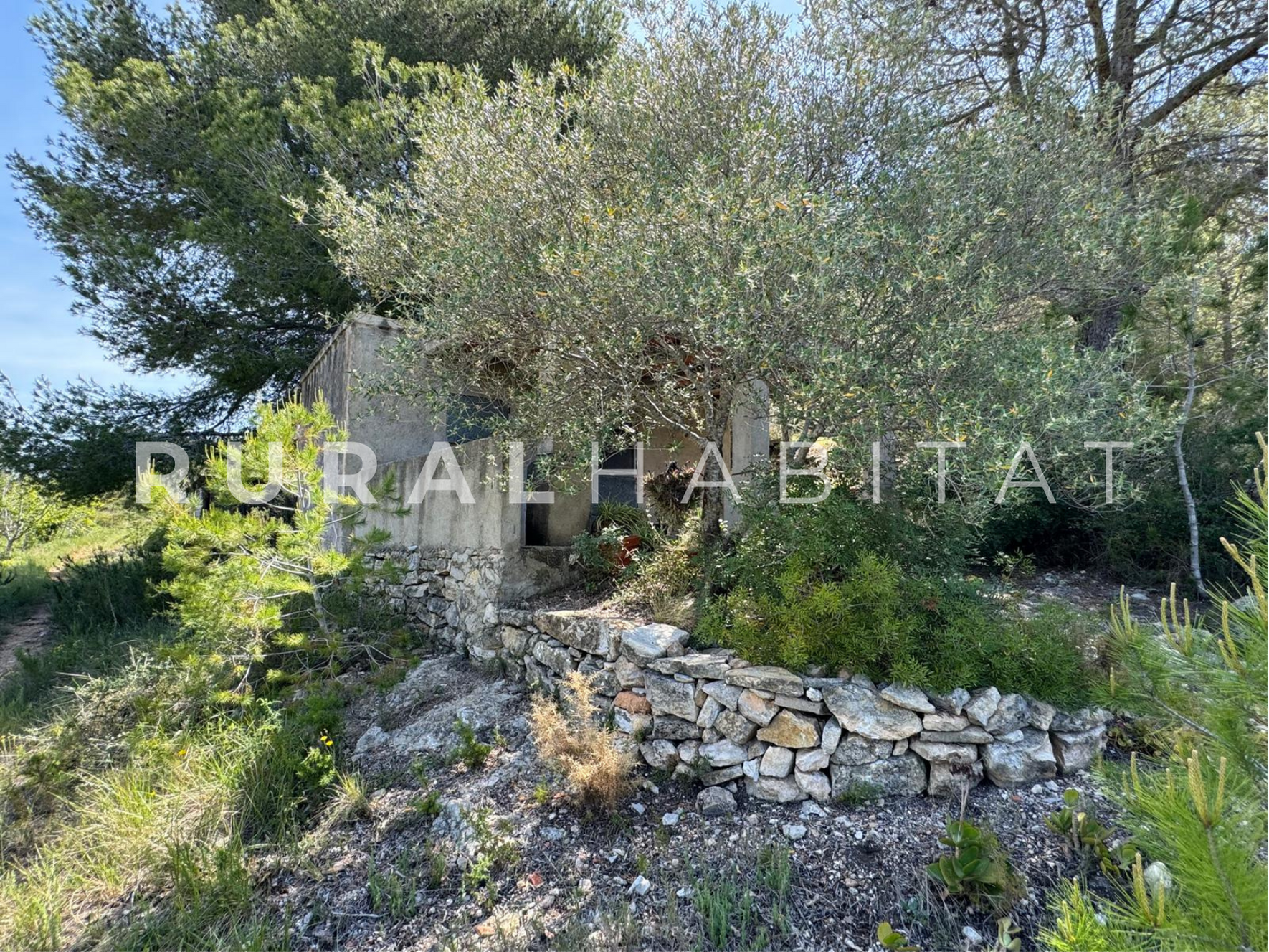 21 Finca Ecuestre en Venta en Alcocebre
