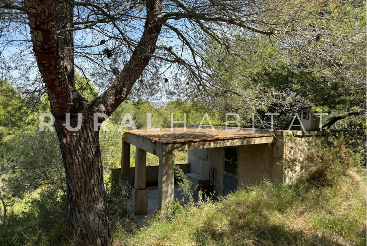 Finca Ecuestre en Venta en Alcocebre