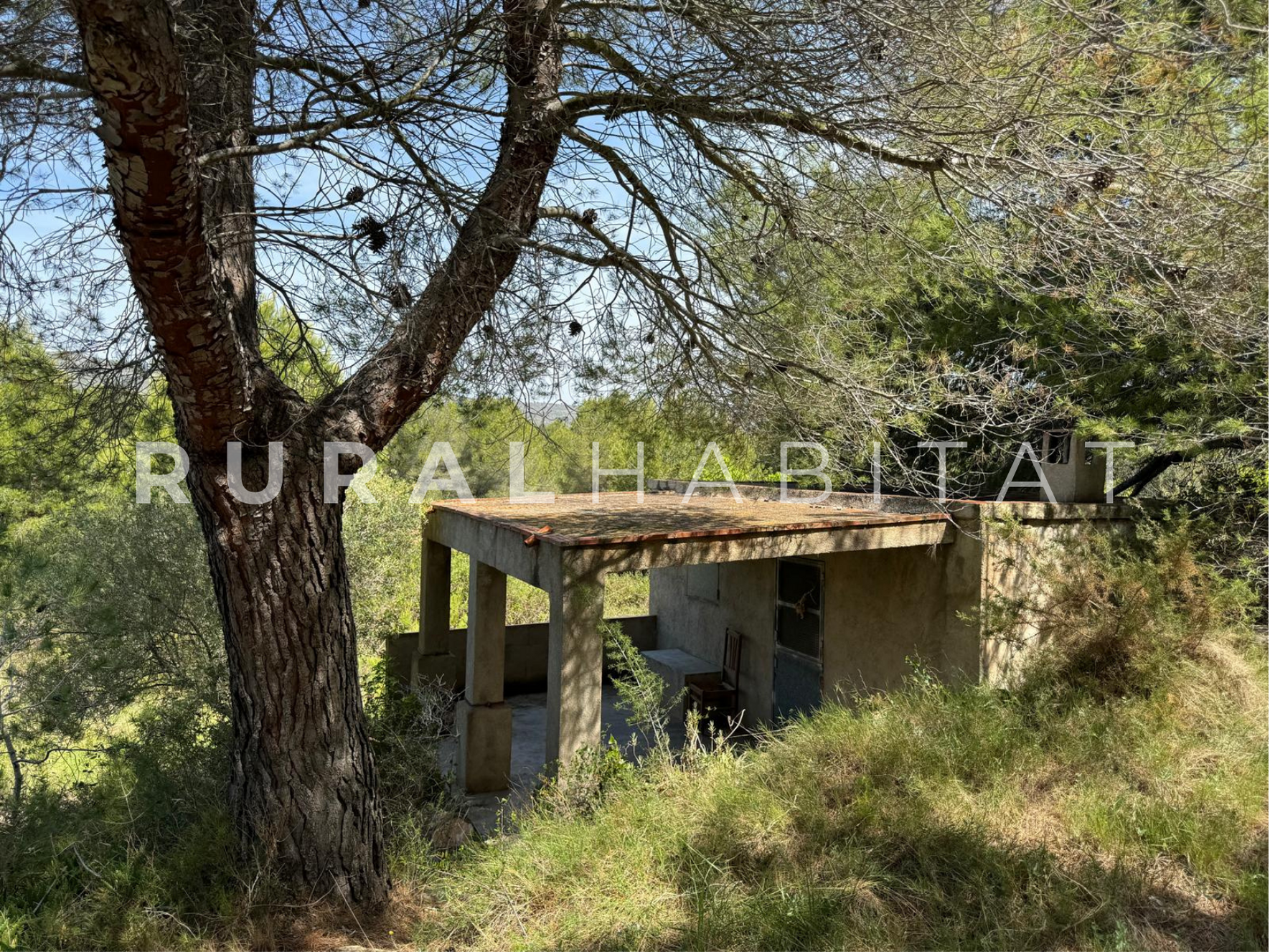 22 Finca Ecuestre en Venta en Alcocebre