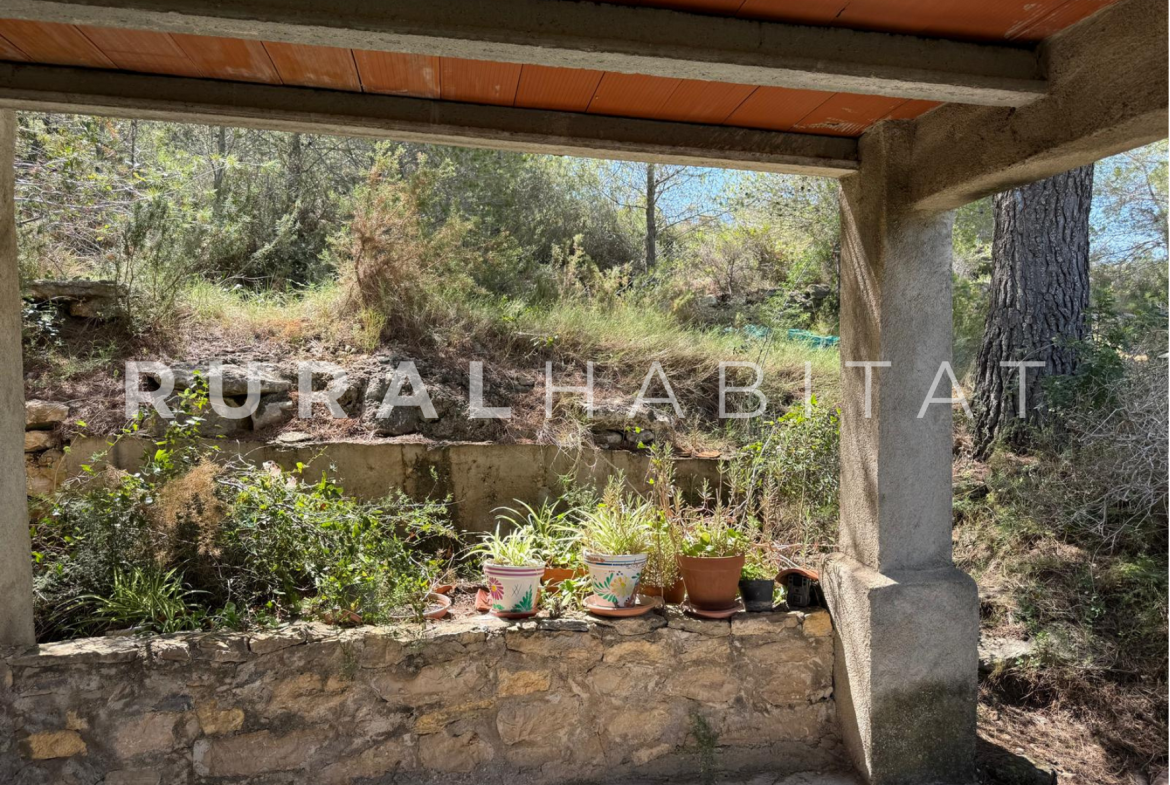 Finca Ecuestre en Venta en Alcocebre