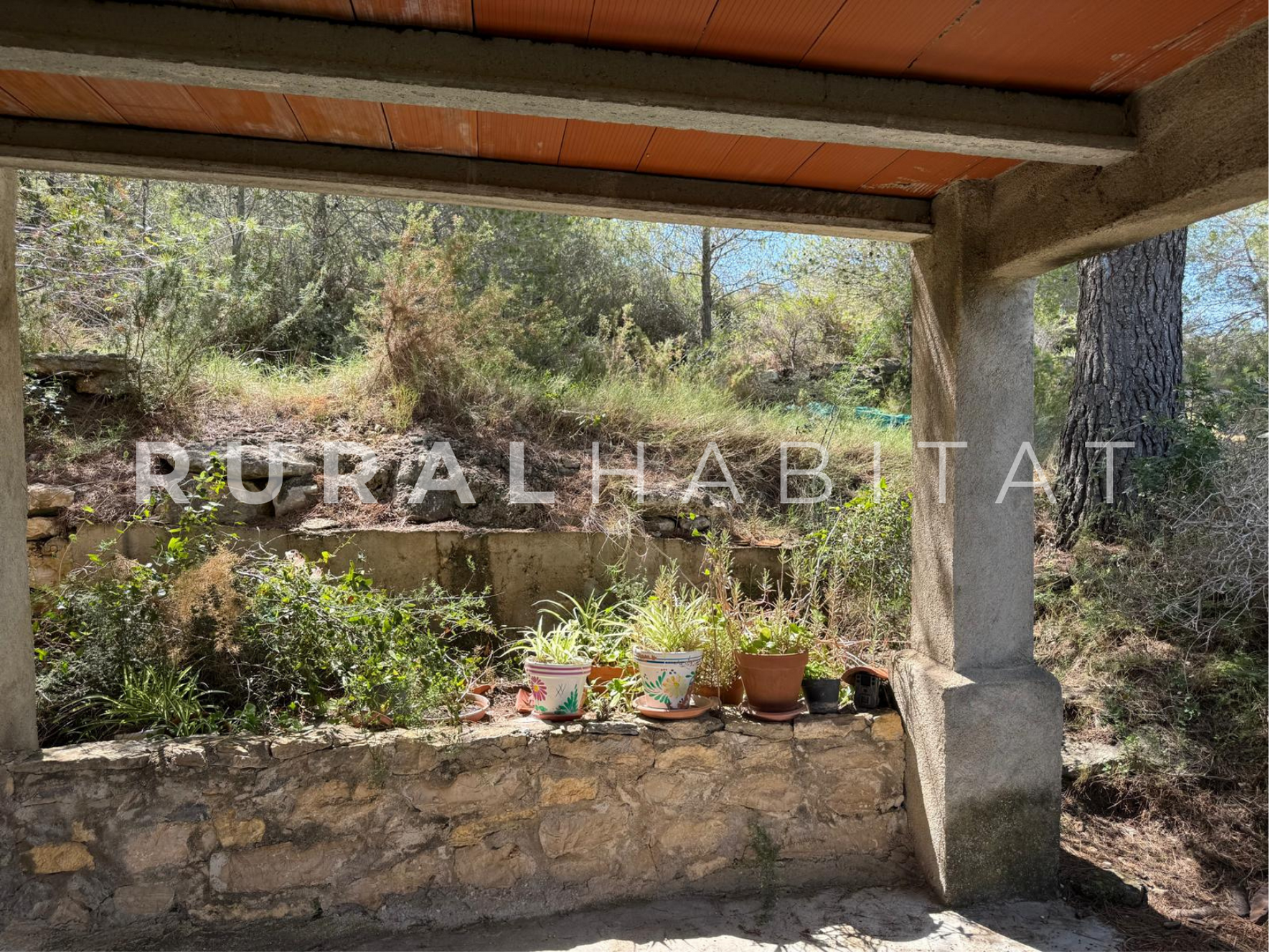 23 Finca Ecuestre en Venta en Alcocebre
