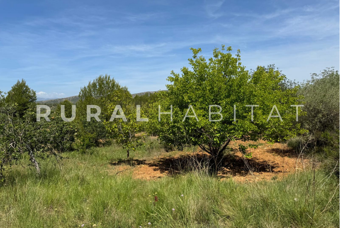 Finca Ecuestre en Venta en Alcocebre