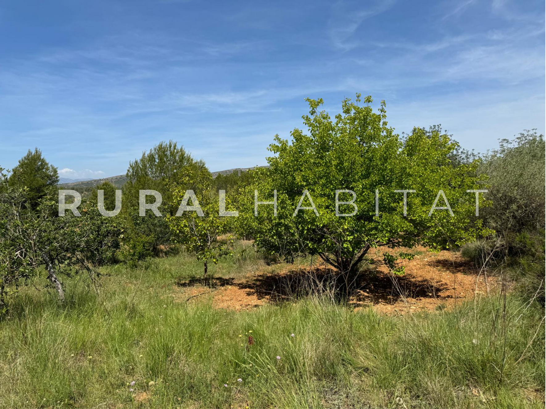 33 Finca Ecuestre en Venta en Alcocebre