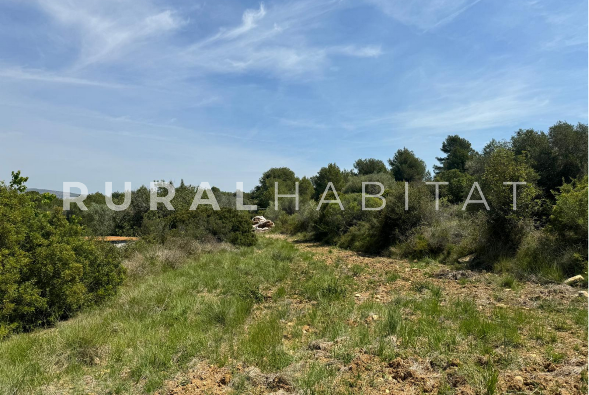 Finca Ecuestre en Venta en Alcocebre
