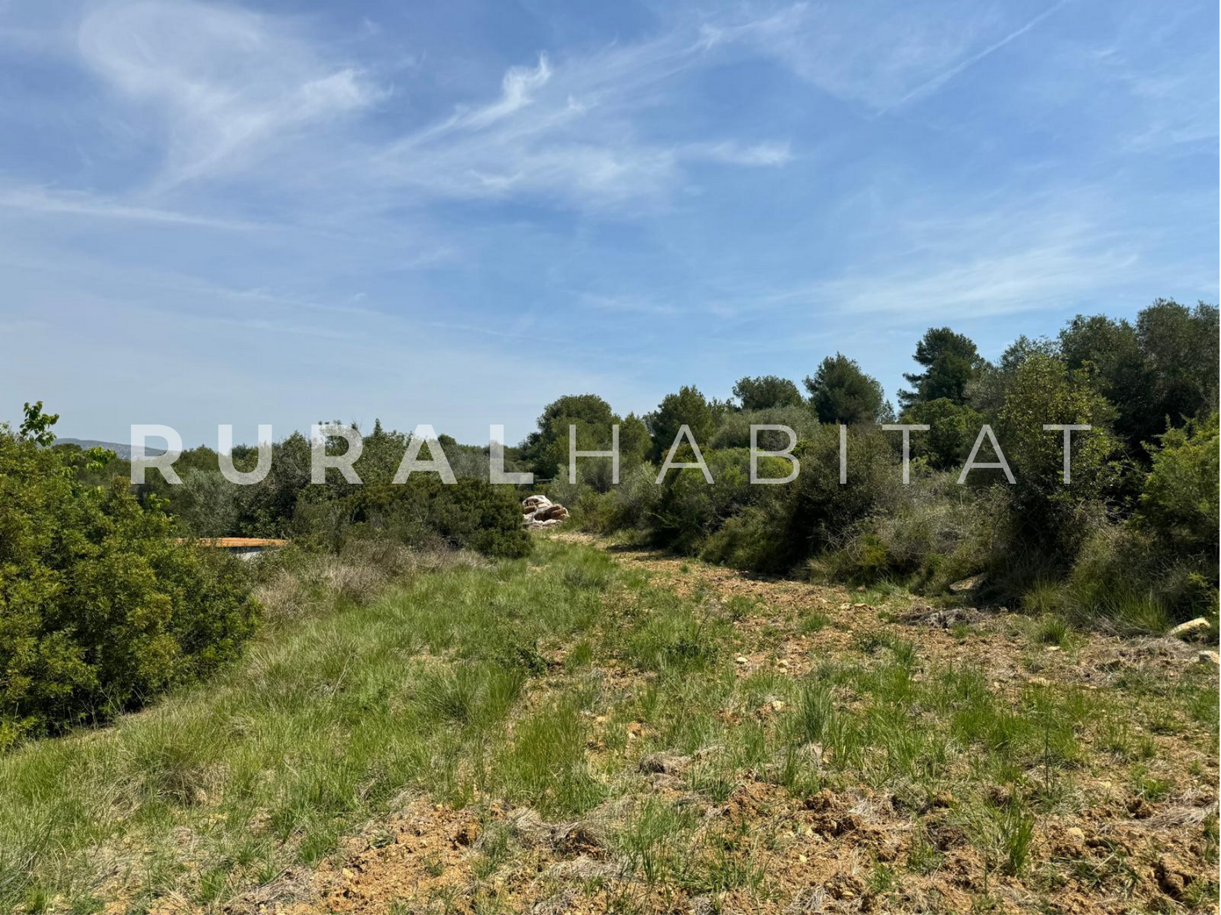 39 Finca Ecuestre en Venta en Alcocebre