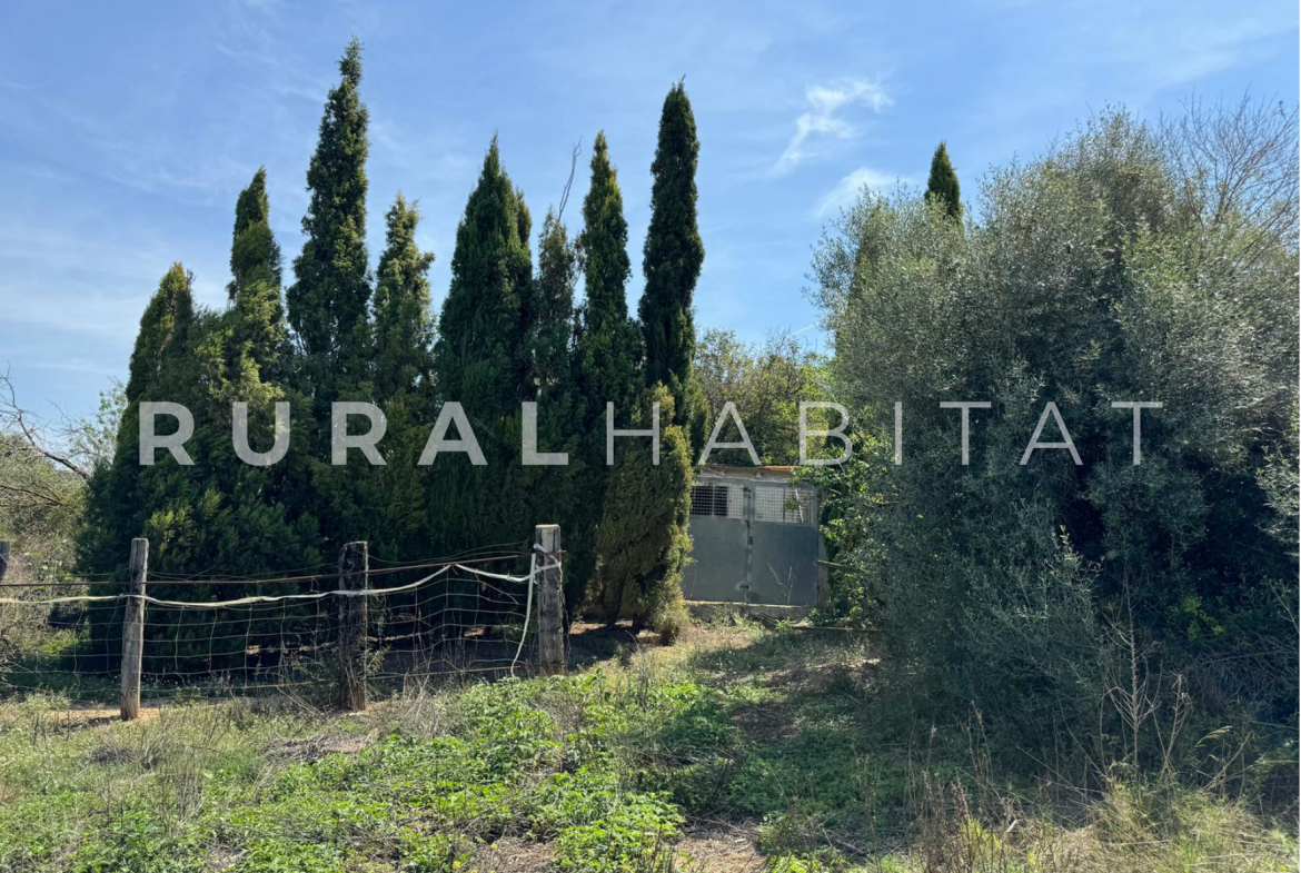 Finca Ecuestre en Venta en Alcocebre