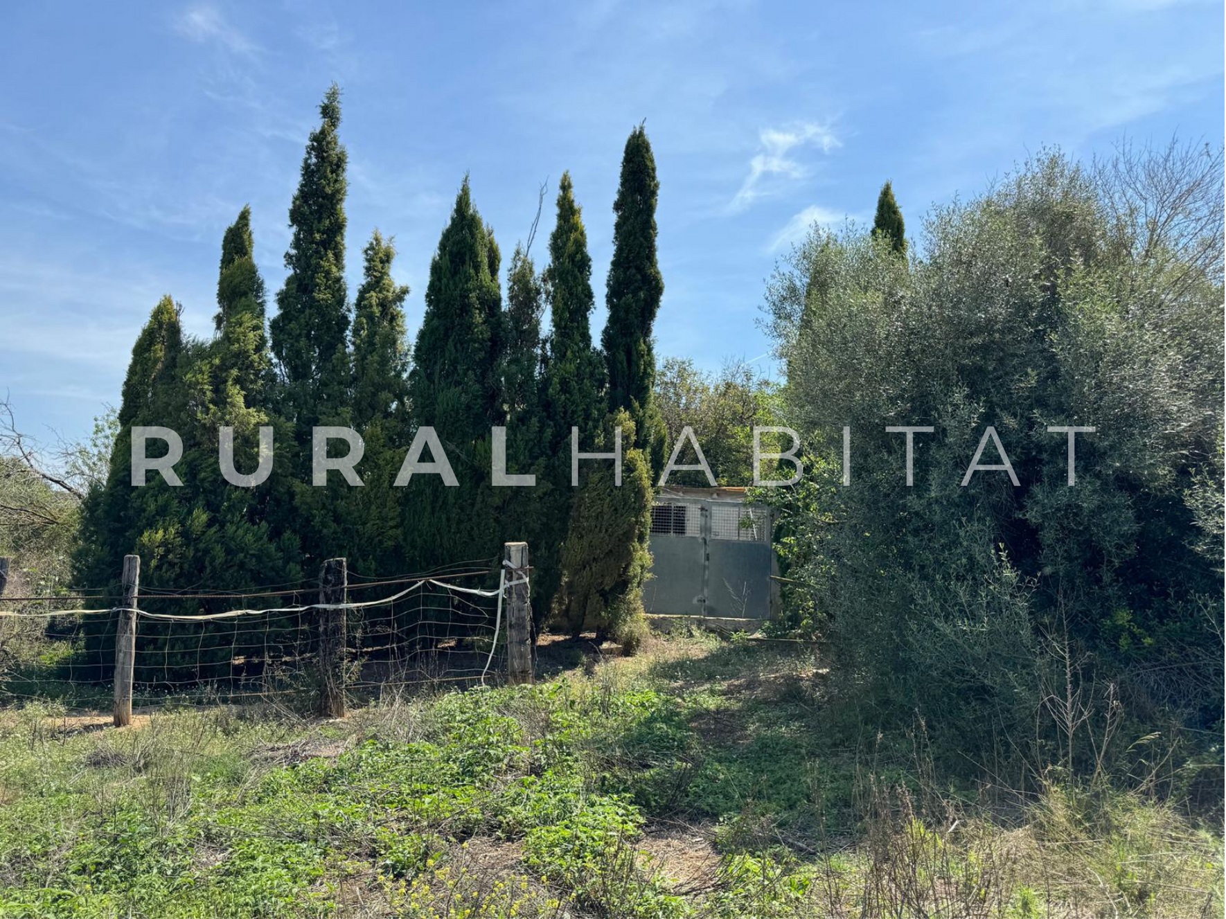 4 Finca Ecuestre en Venta en Alcocebre