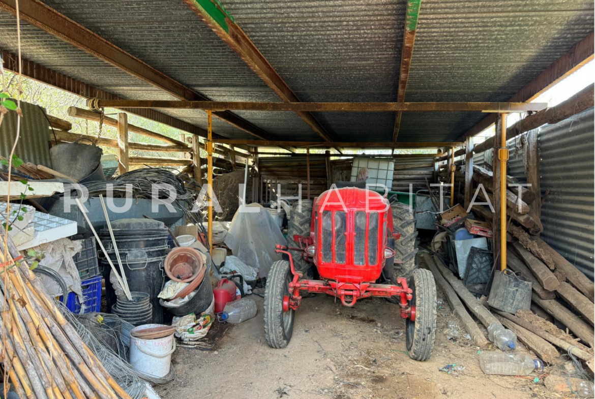 Finca Ecuestre en Venta en Alcocebre