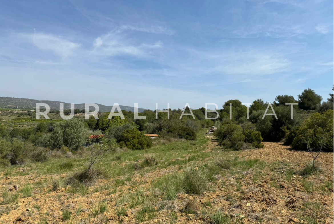 Finca Ecuestre en Venta en Alcocebre