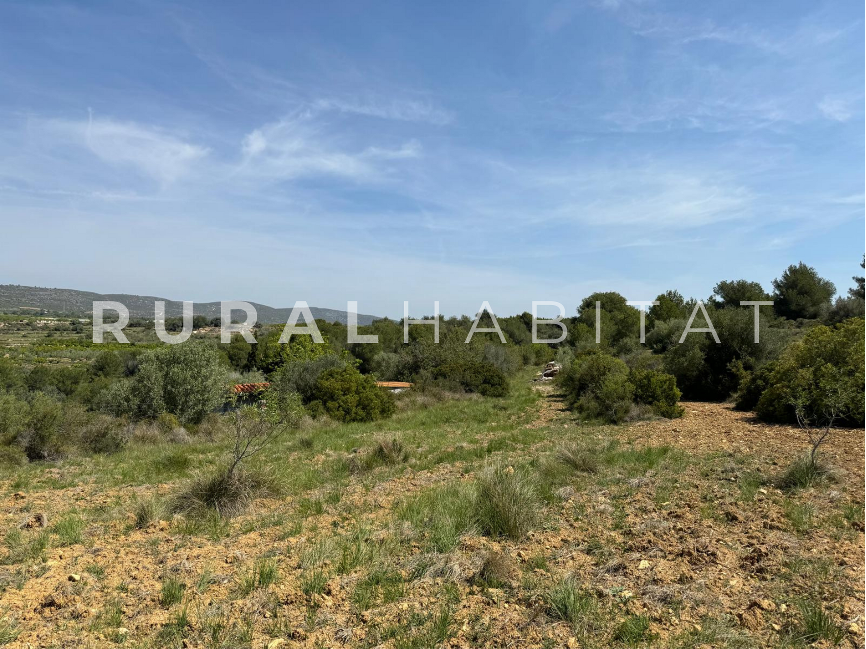 42 Finca Ecuestre en Venta en Alcocebre
