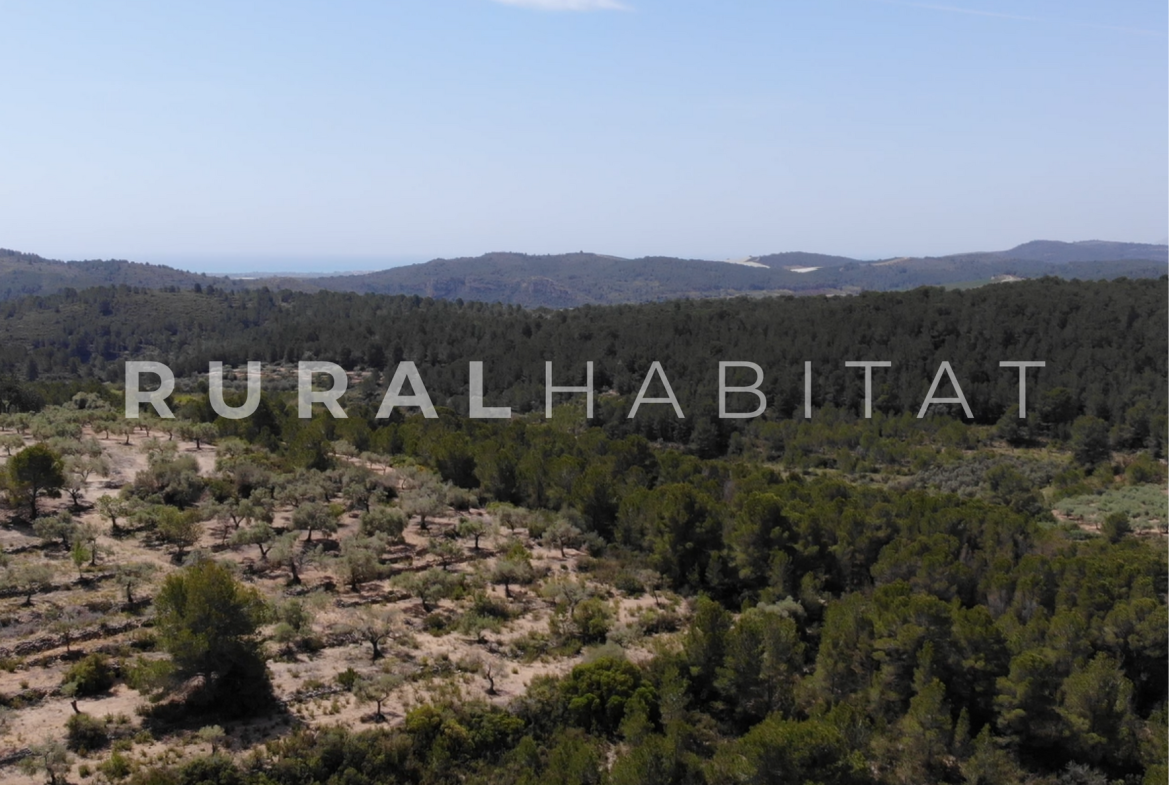 Finca Ecuestre en Venta en Alcocebre