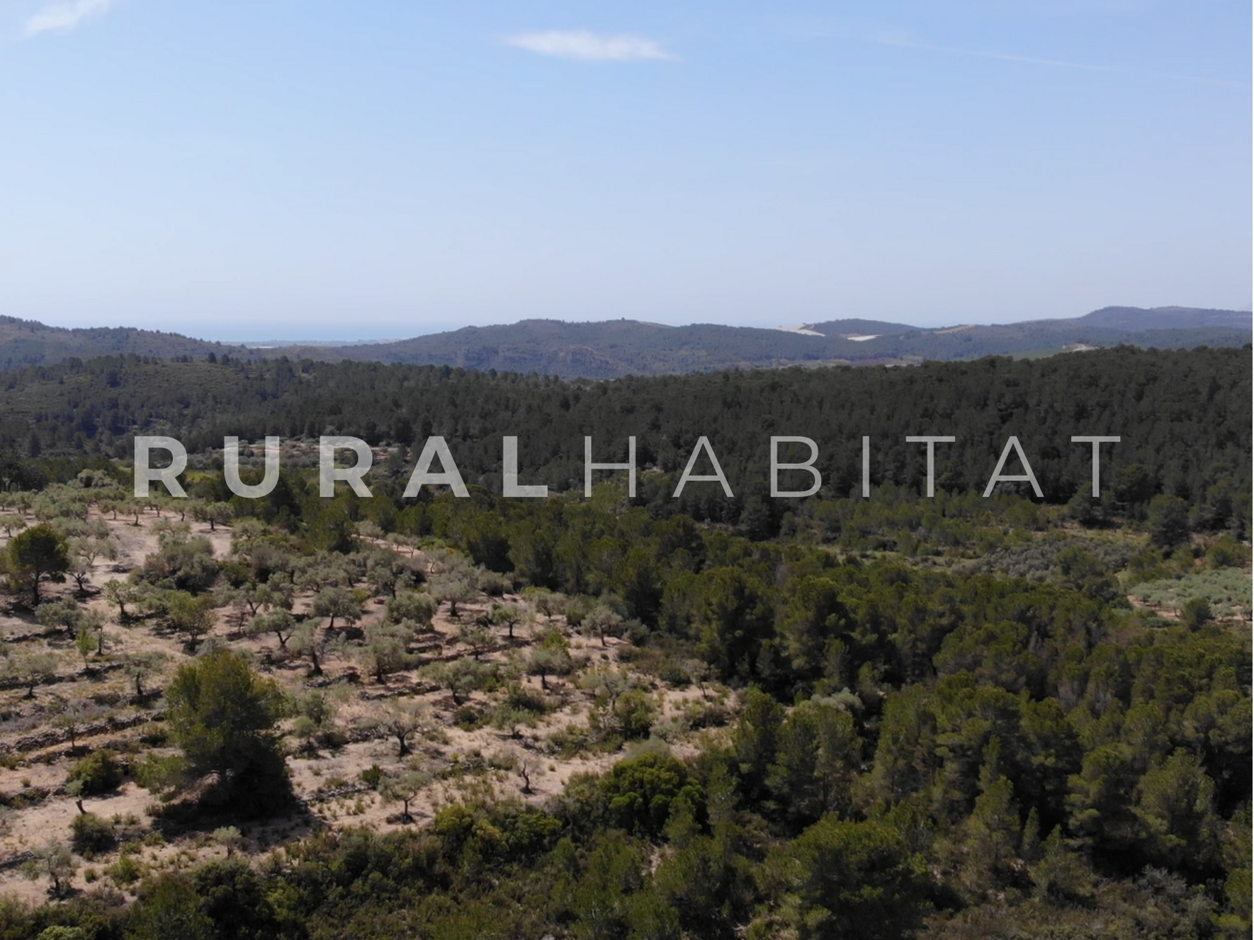 44 Finca Ecuestre en Venta en Alcocebre