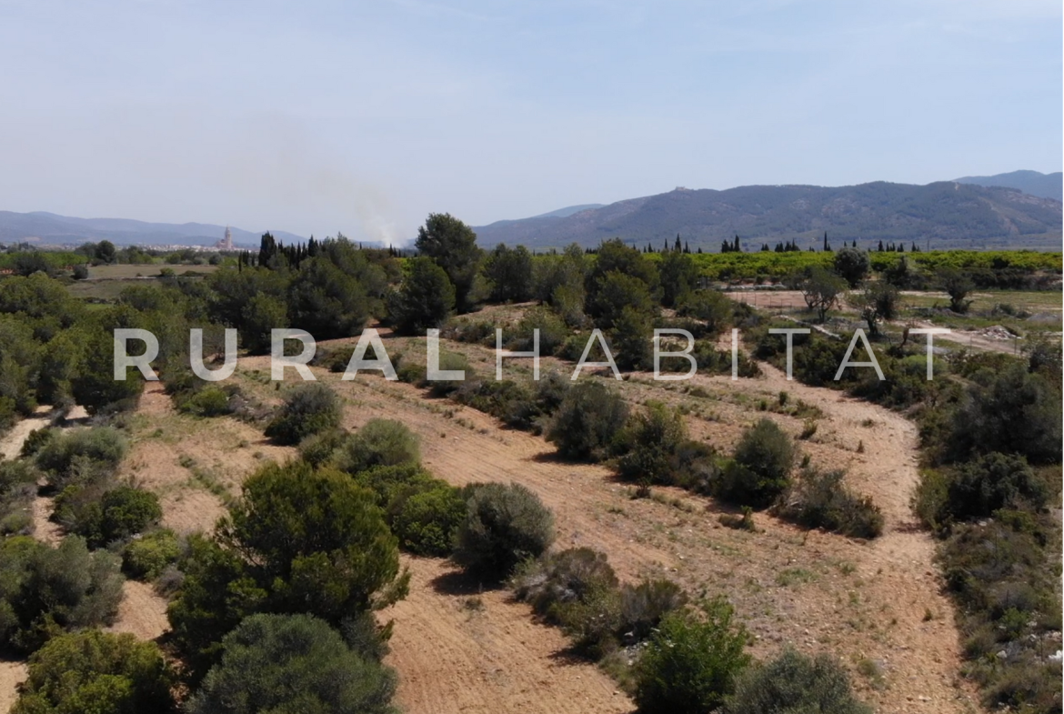 Finca Ecuestre en Venta en Alcocebre