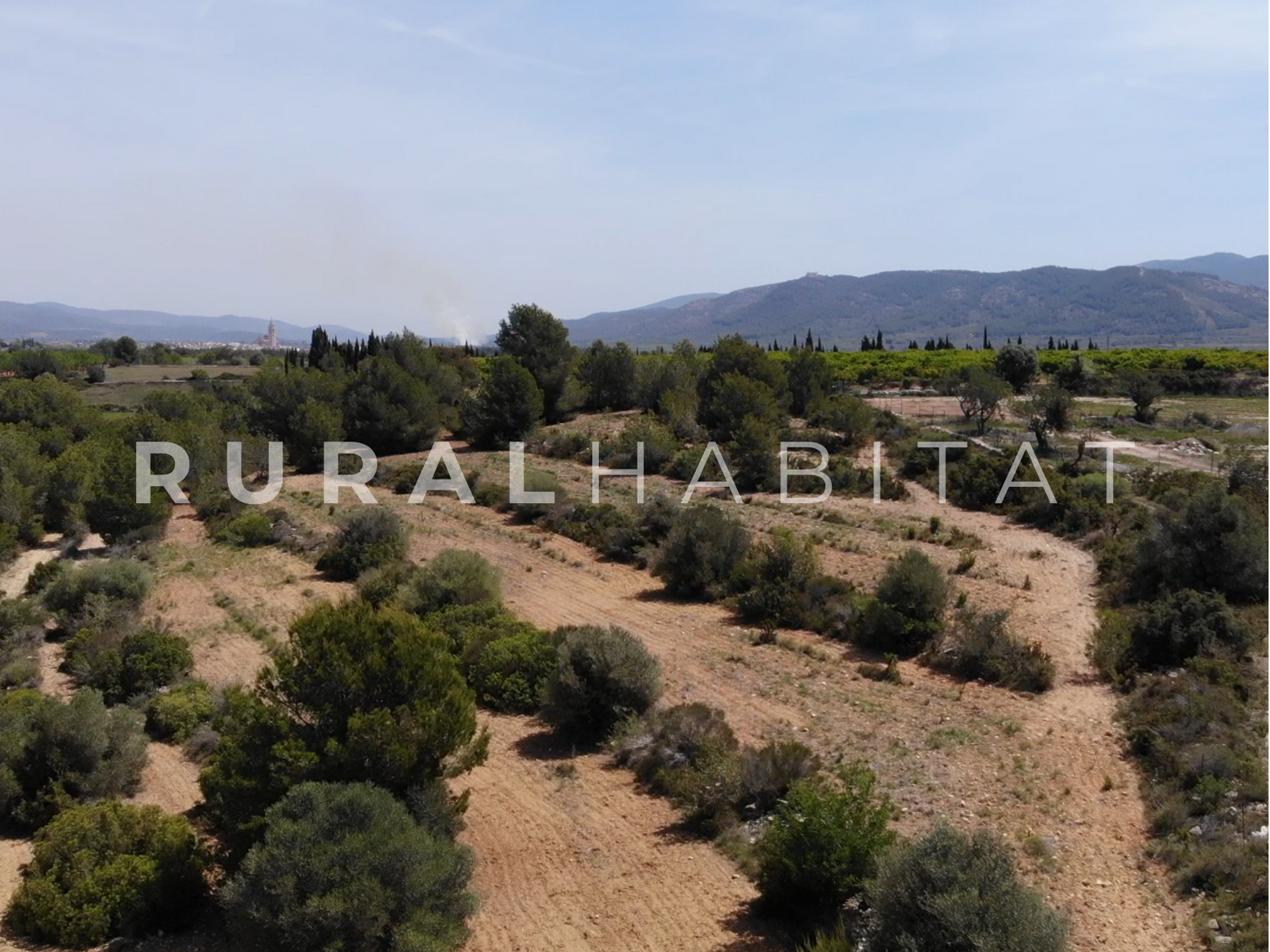 45 Finca Ecuestre en Venta en Alcocebre