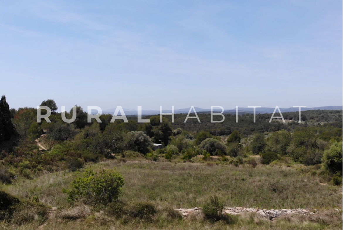 Finca Ecuestre en Venta en Alcocebre