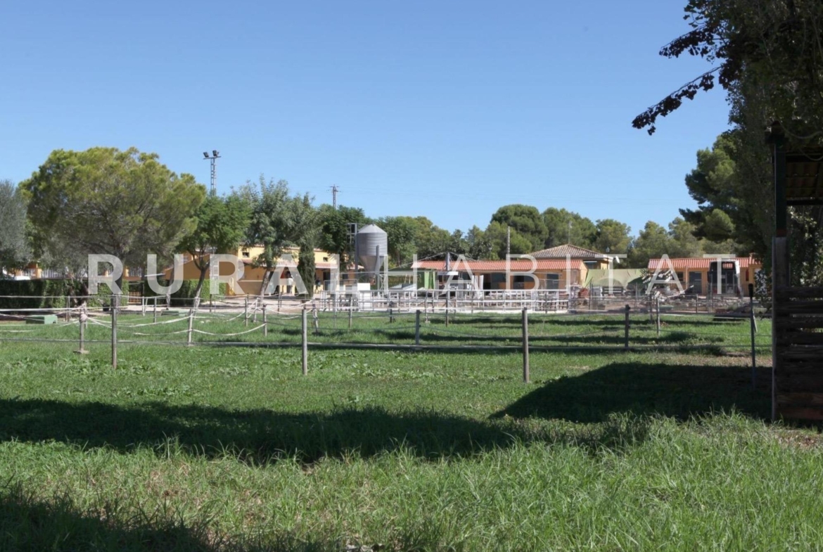 Finca ecuestre en venta - paddocks