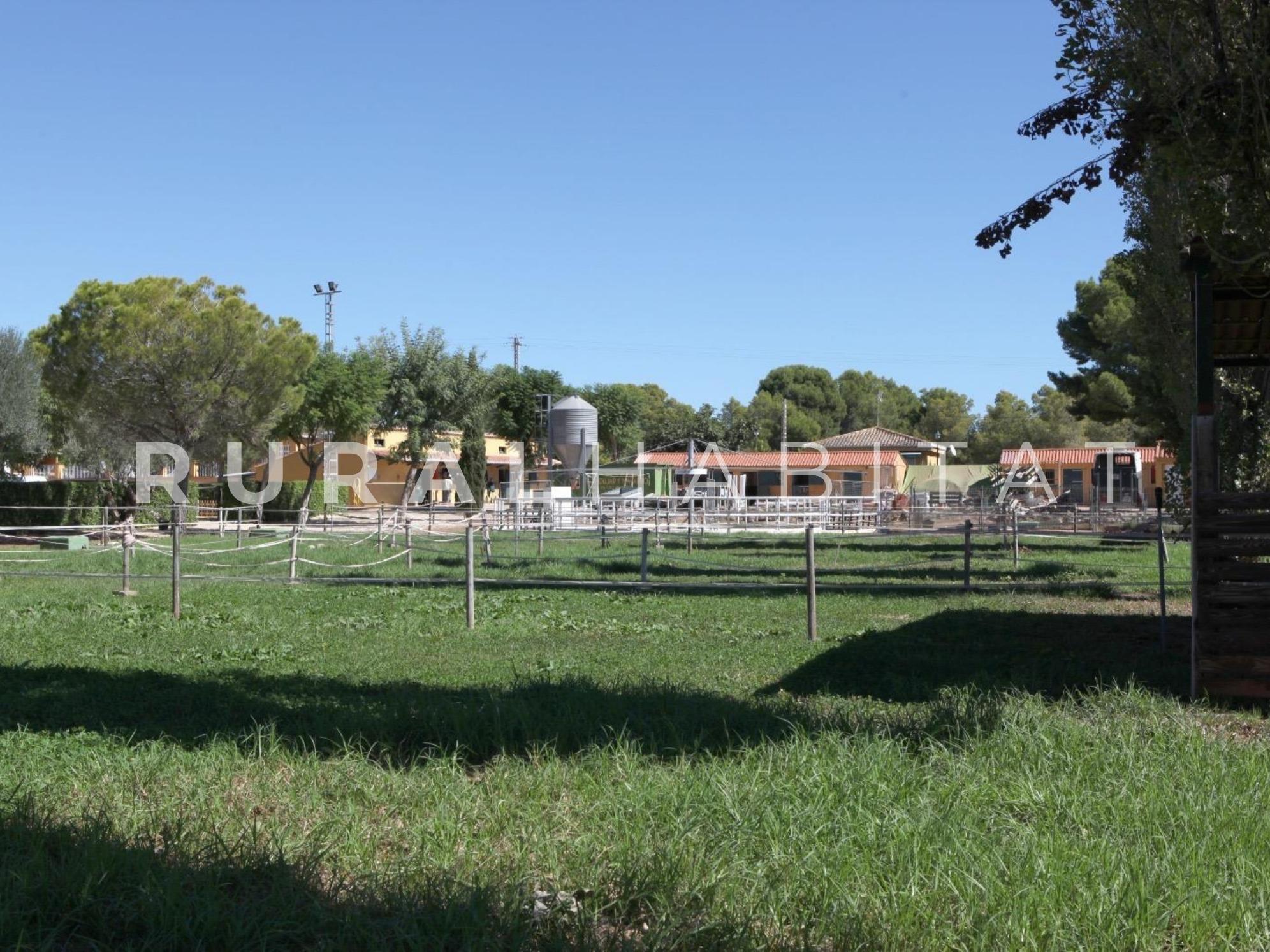 1 Finca ecuestre en venta - paddocks