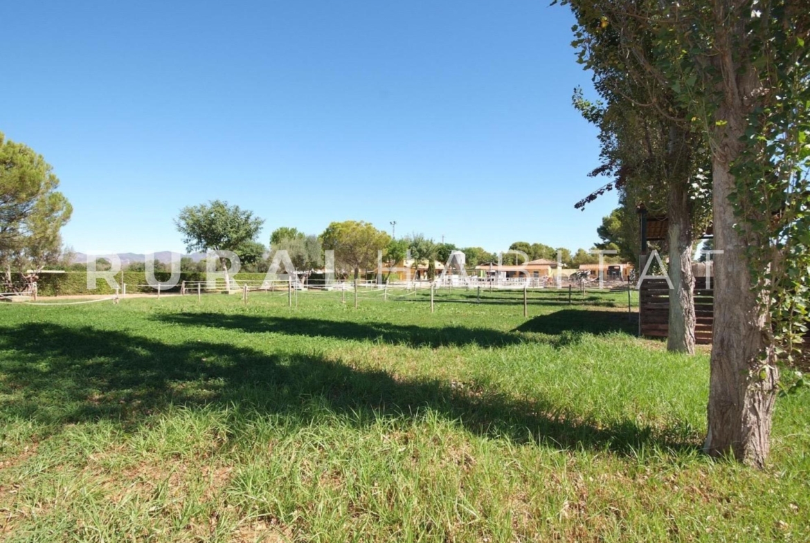 Finca ecuestre en venta - paddocks 2
