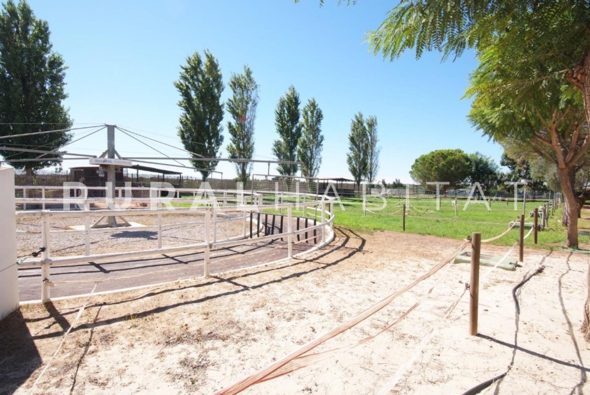 Finca ecuestre en venta - andador
