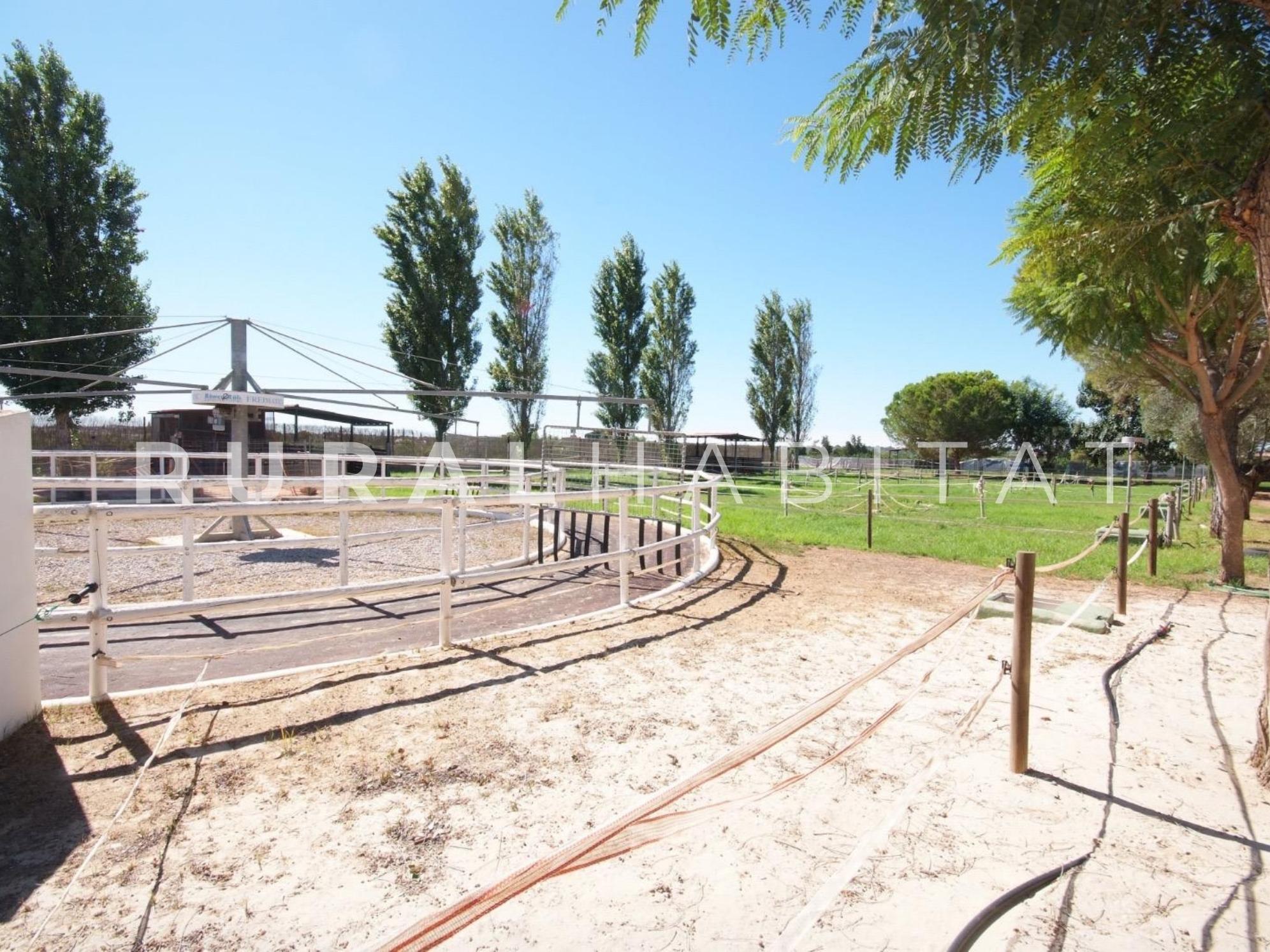 15 Finca ecuestre en venta - andador