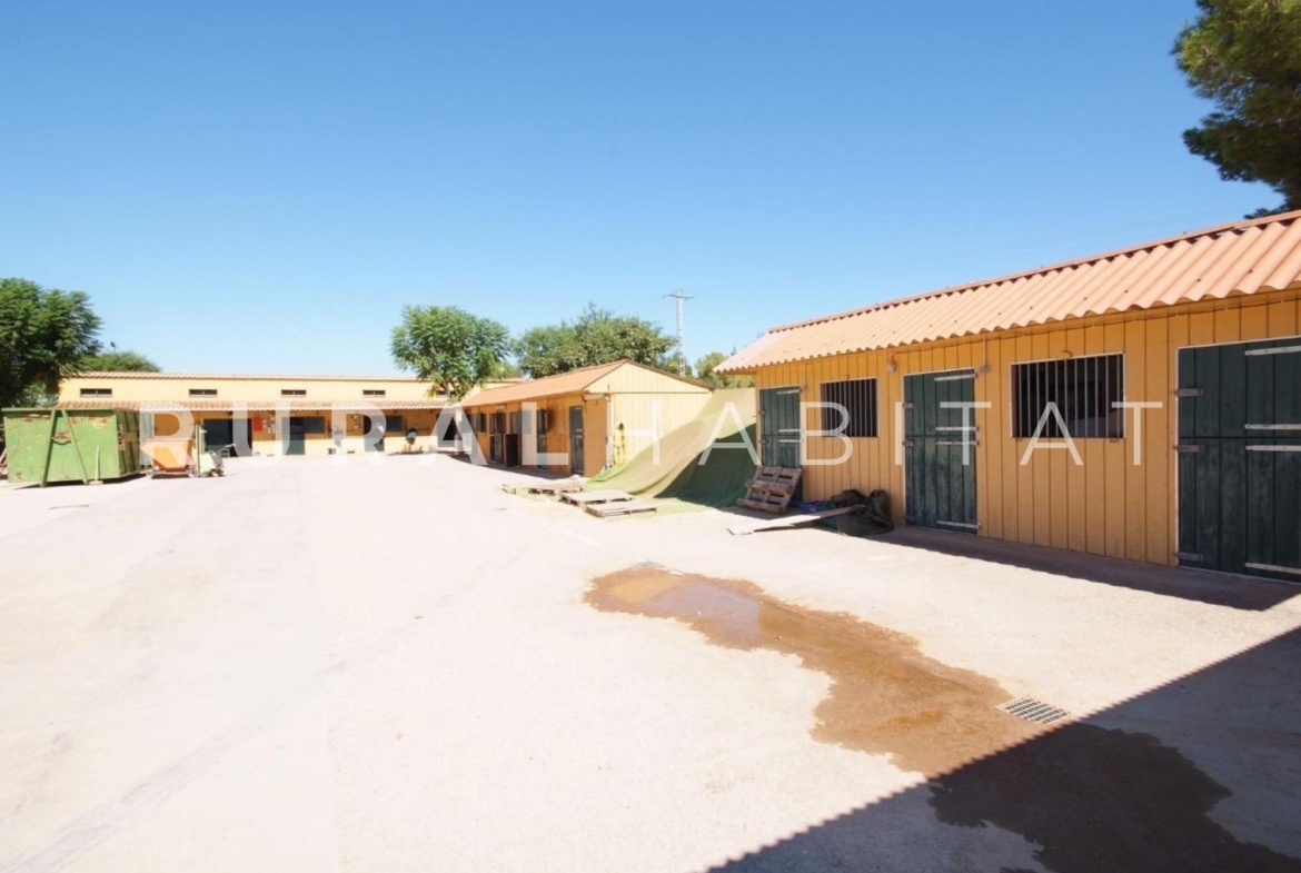 Finca ecuestre en venta - cuadras - boxes