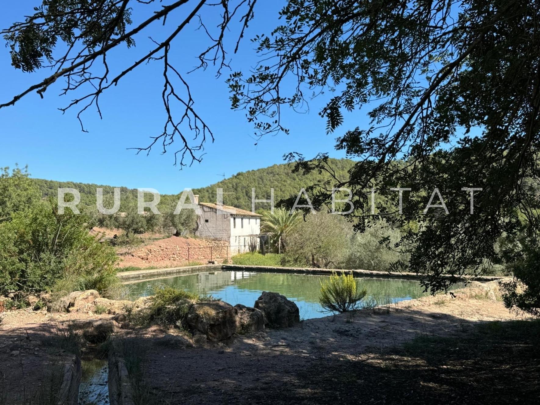 1 Finca rustica en venta Valencia - Masía