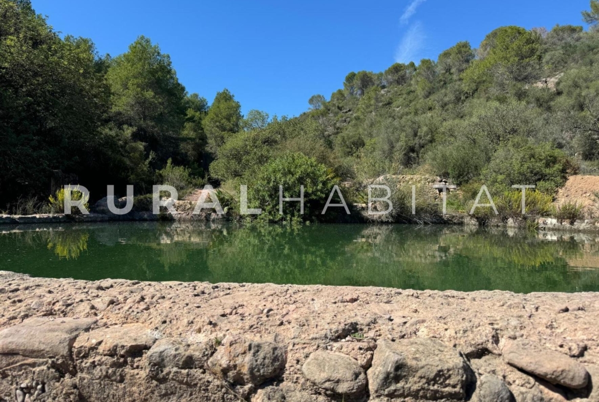Finca rustica en venta Valencia - Balsa