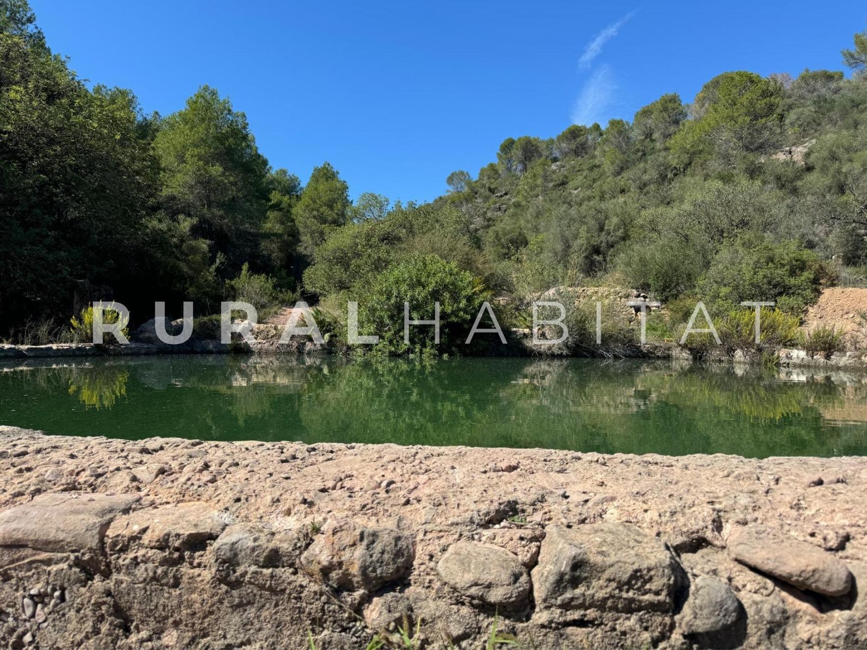 10 Finca rustica en venta Valencia - Balsa