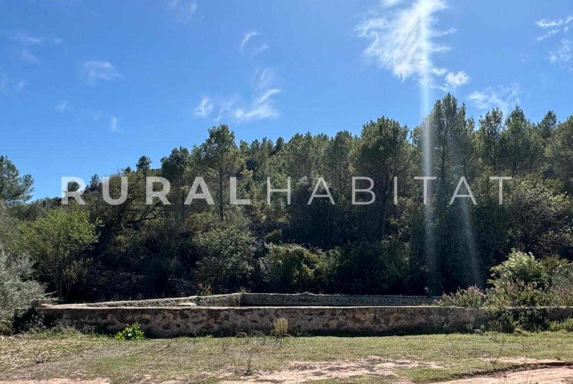 Finca rustica en venta Valencia - Balsa