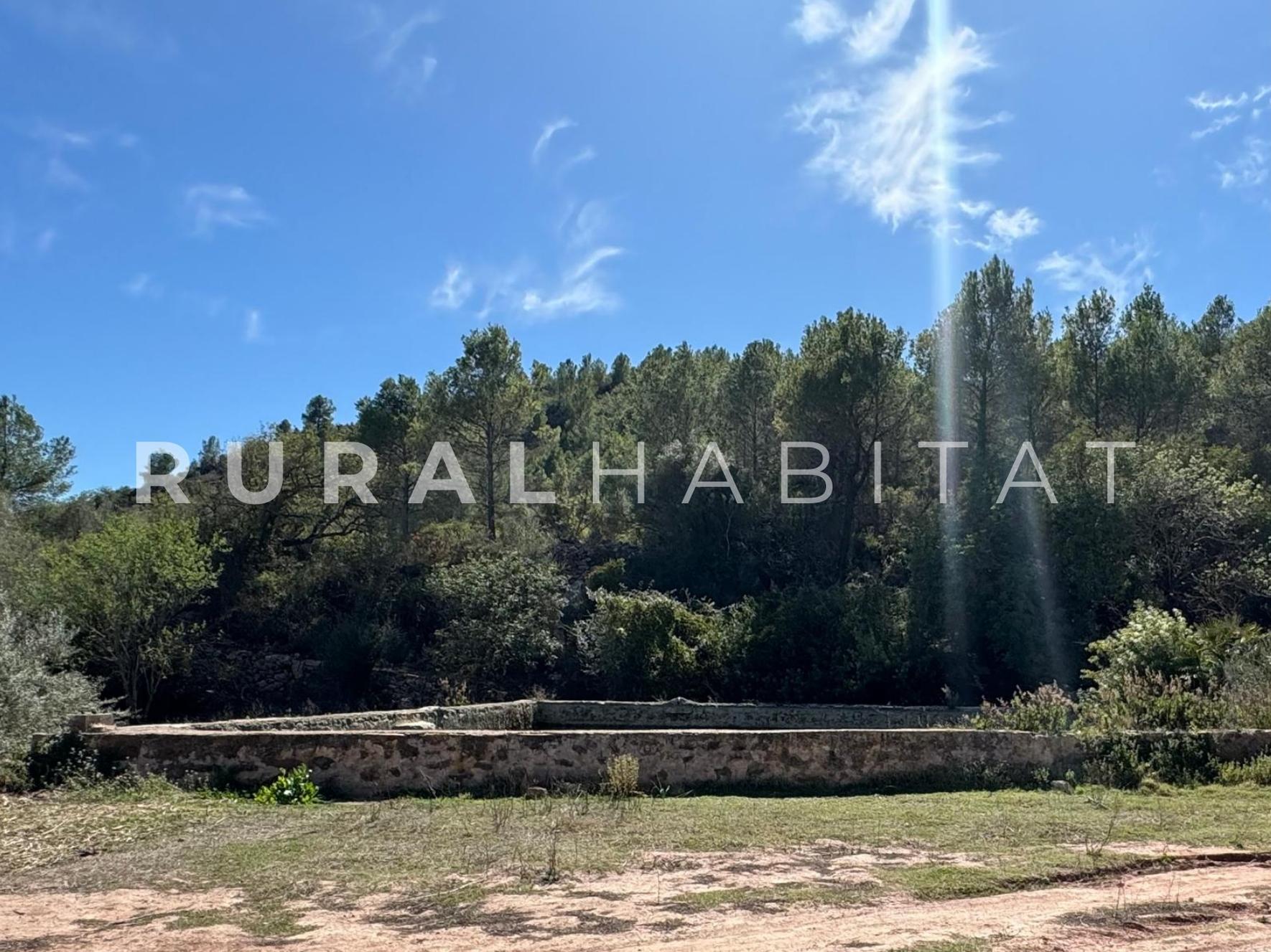 11 Finca rustica en venta Valencia - Balsa