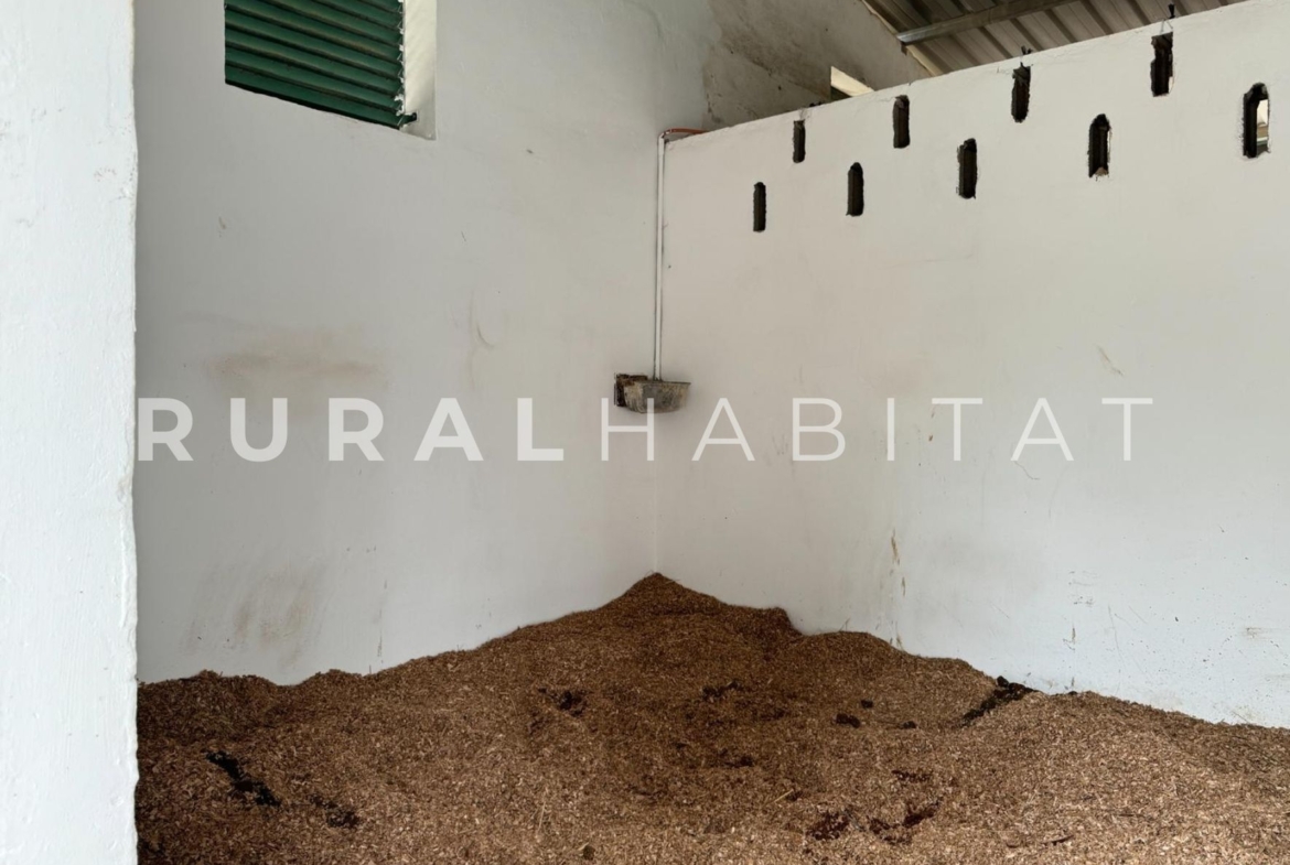 Finca ecuestre Naquera, Valencia - Box interior caballos